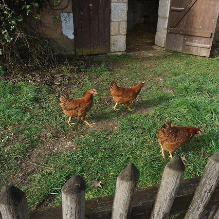 Chambres D'Hote En Dordogne Beauronne Bagian luar foto