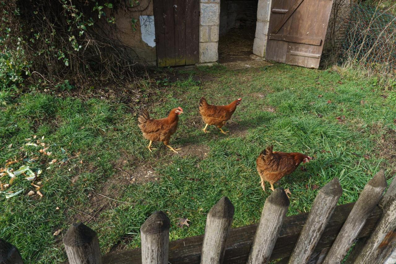 Chambres D'Hote En Dordogne Beauronne Bagian luar foto